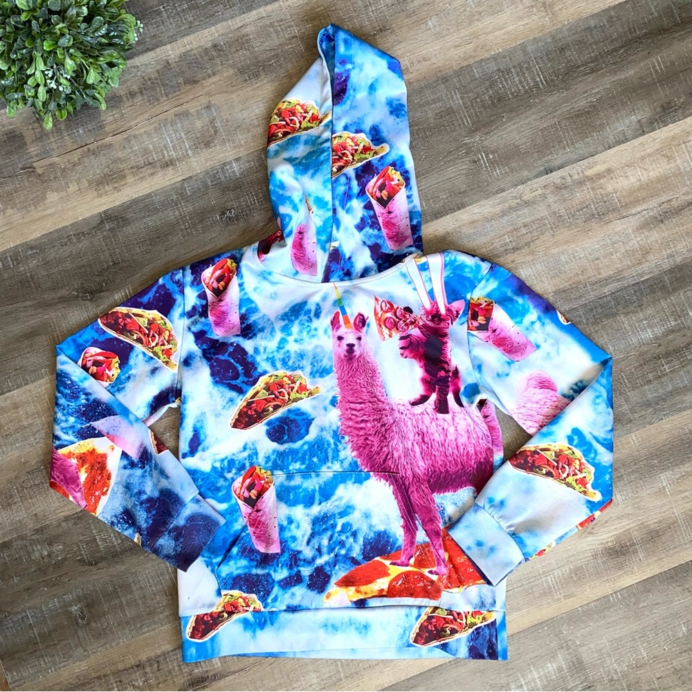 SOLD Pink Laser Kitty Llama Unicorn Pizza Taco Burrito Hoodie Size Youth Medi… - Picture 1 of 11